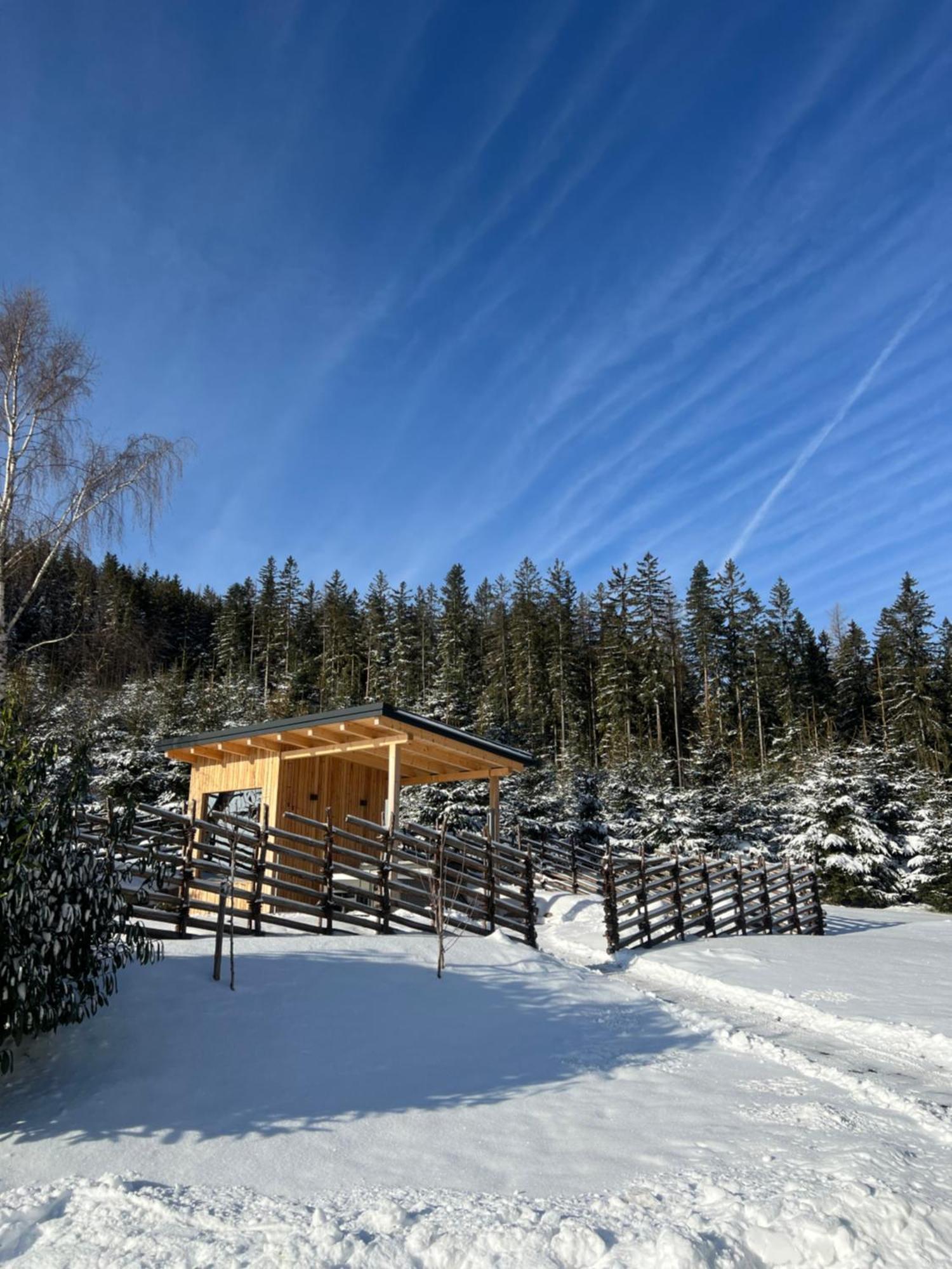 Villa Waldheimatblick à Sankt Kathrein am Hauenstein Extérieur photo